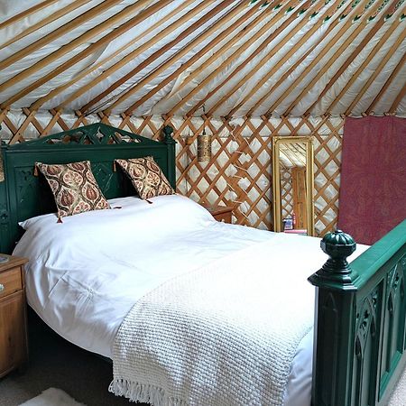 Go Eco Glamping Hotel Lampeter Bagian luar foto
